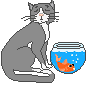 Katze am Goldfischglas